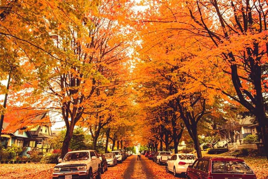 Du Lịch Bờ Đông Canada